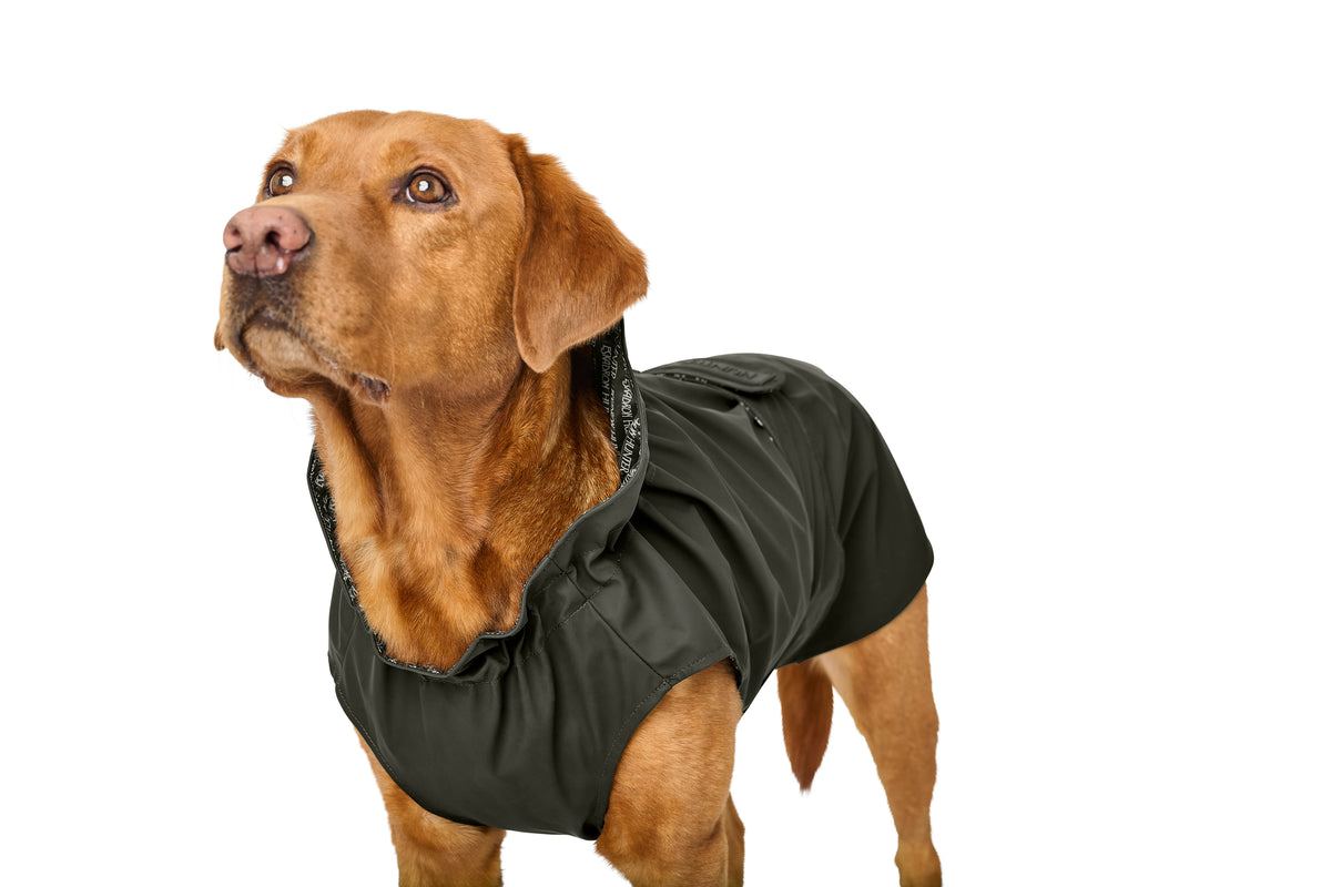 Eskadron Rainshield Hunde Regndækken