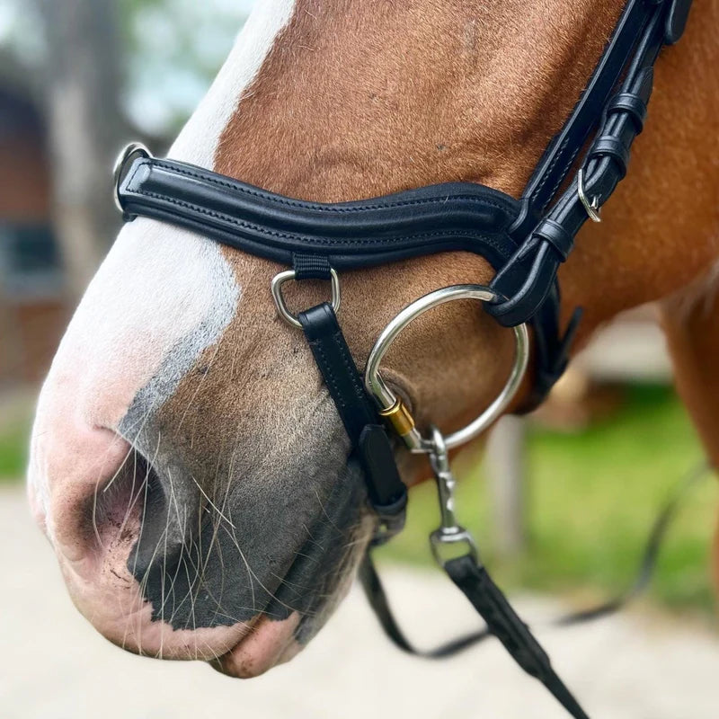 PH deluxe næsebånd "training"