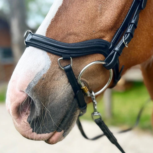 PH deluxe næsebånd "training"