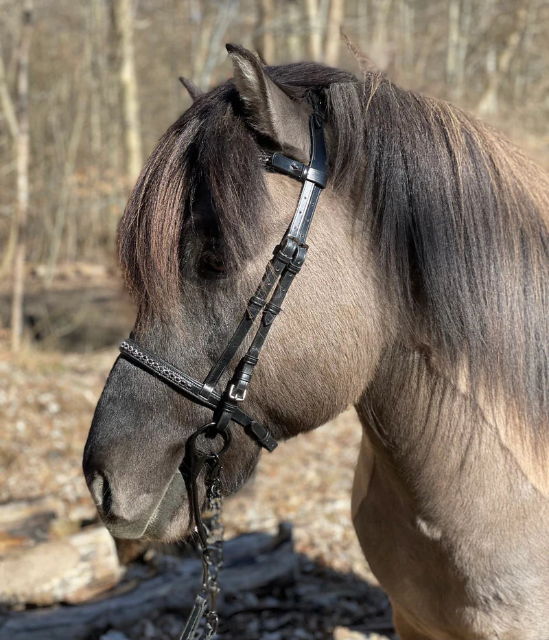 PH deluxe pandebånd “diamond black”