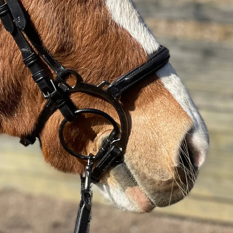 PH deluxe bøjlenæsebånd