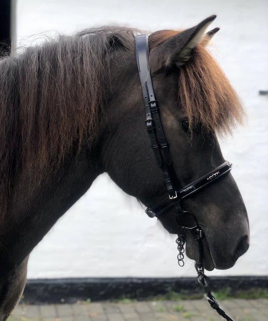 PH Deluxe nakkerem "straight"