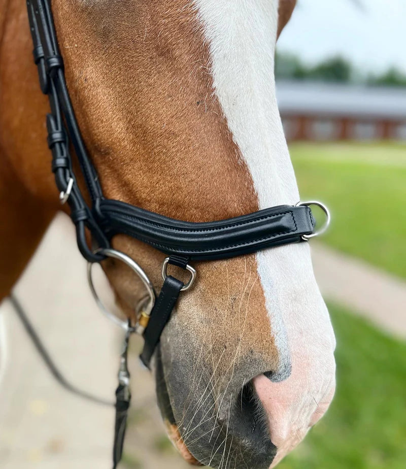 PH deluxe næsebånd "training"