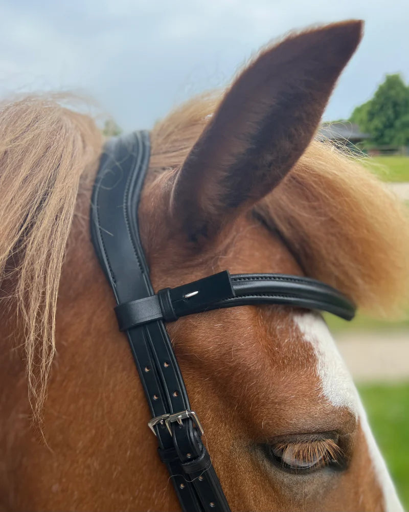 PH deluxe pandebånd plain Black