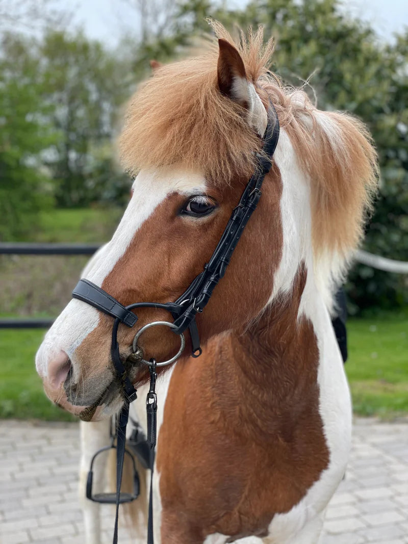 PH Deluxe næsebånd "freedom"