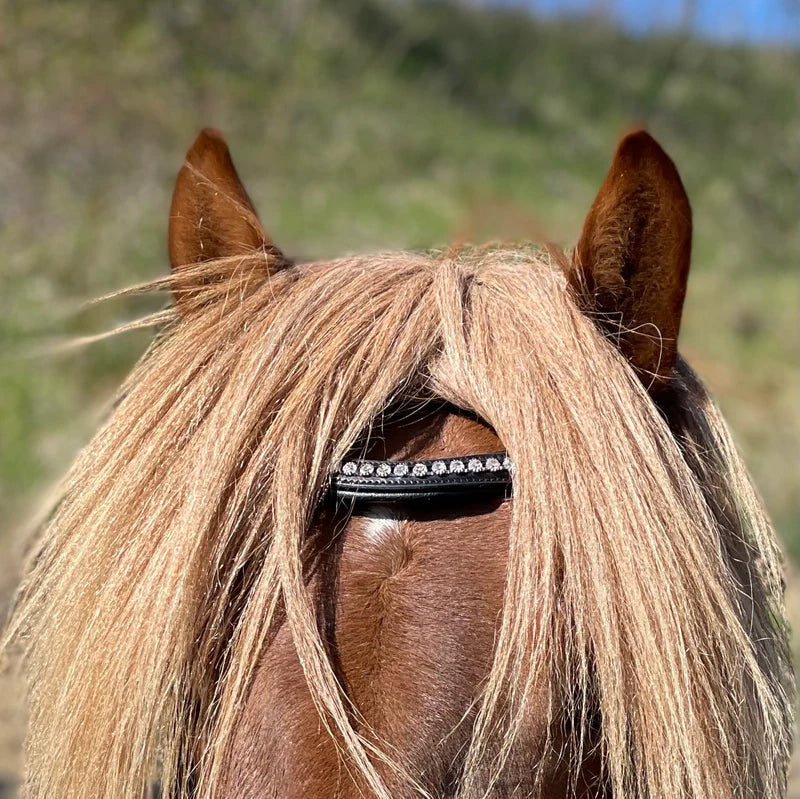 PH deluxe pandebånd “diamond white”