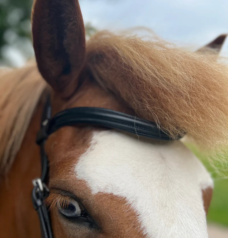 PH deluxe pandebånd plain Black