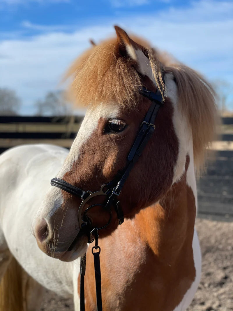 PH deluxe bøjlenæsebånd