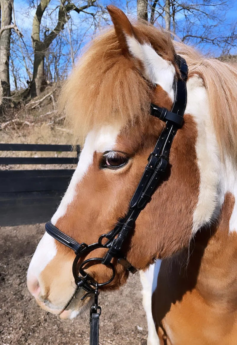 PH deluxe bøjlenæsebånd