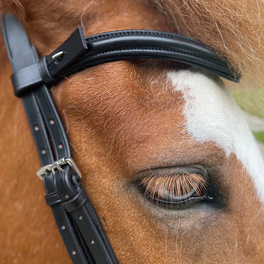 PH deluxe pandebånd plain Black