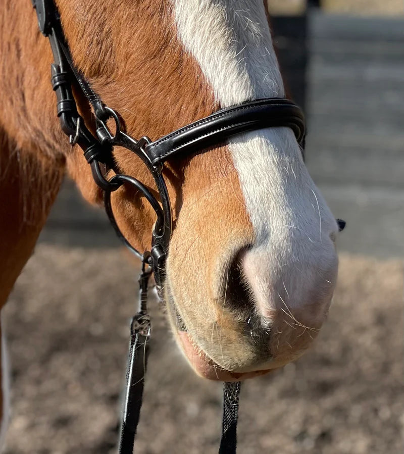 PH deluxe bøjlenæsebånd