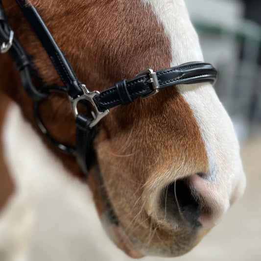 PH Deluxe justerbar næserem hannoveransk