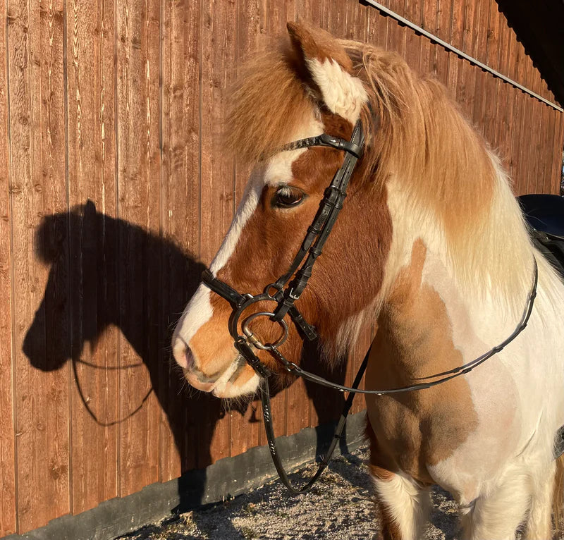 PH deluxe bøjlenæsebånd