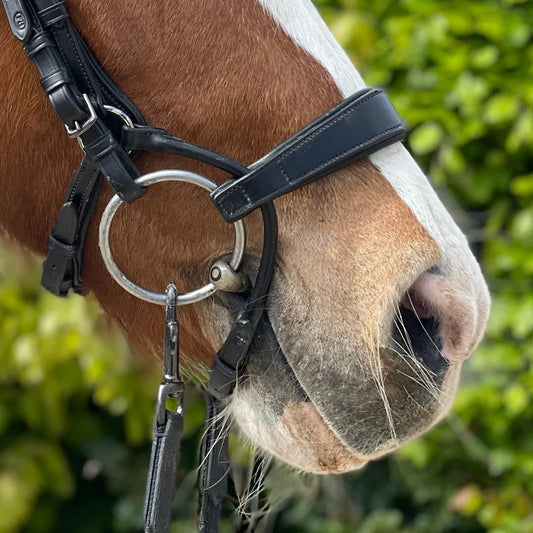 PH Deluxe næsebånd "freedom"