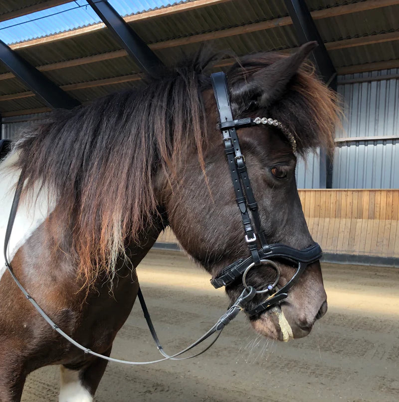 PH Deluxe nakkerem "straight"