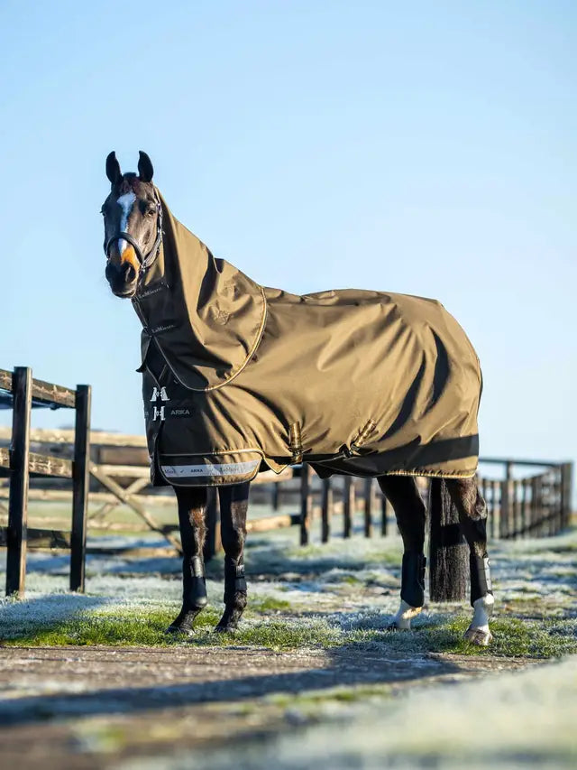 LeMieux Arika Ripstop 100g Turnout Rug