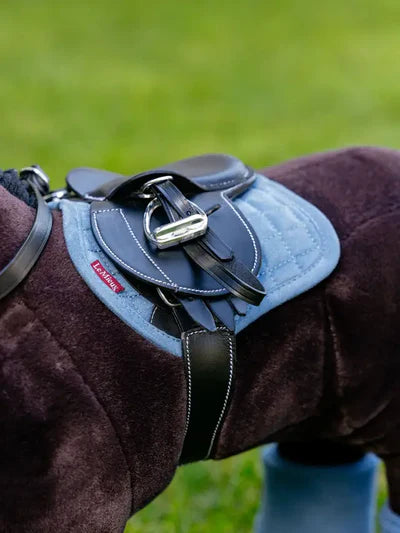 LM Toy Pony Pad