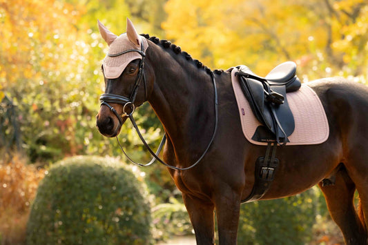 Lemieux Essence Fly Hood AW26
