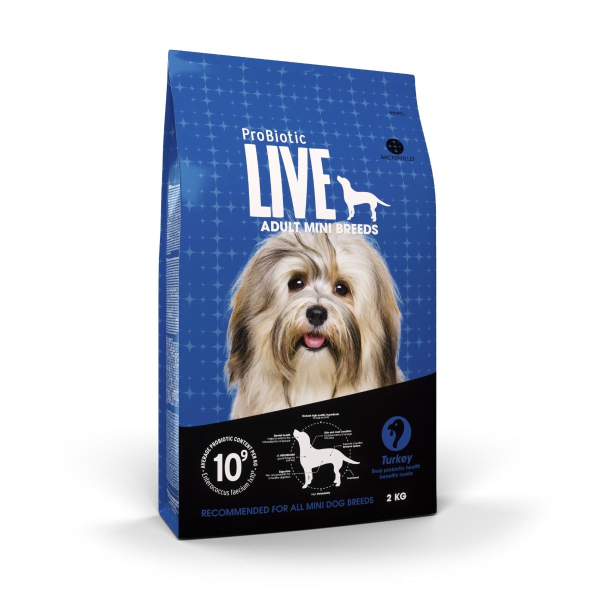 LIVE Mini Breeds Adult Kalkun