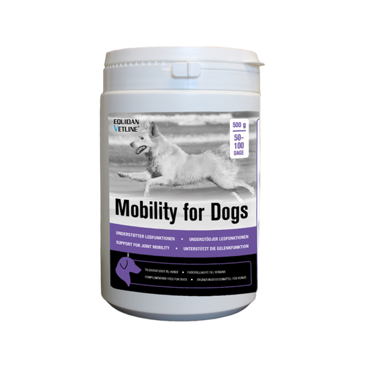 Mobility for Dogs