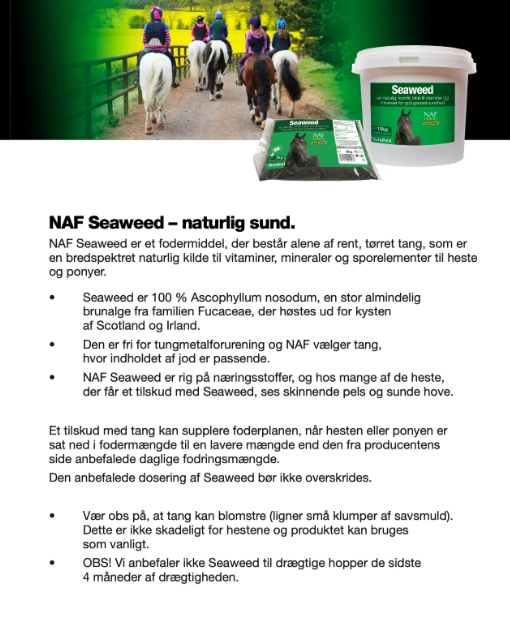 Naf Seaweed