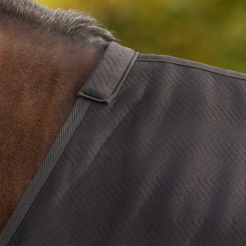QHP Show rug Avenna