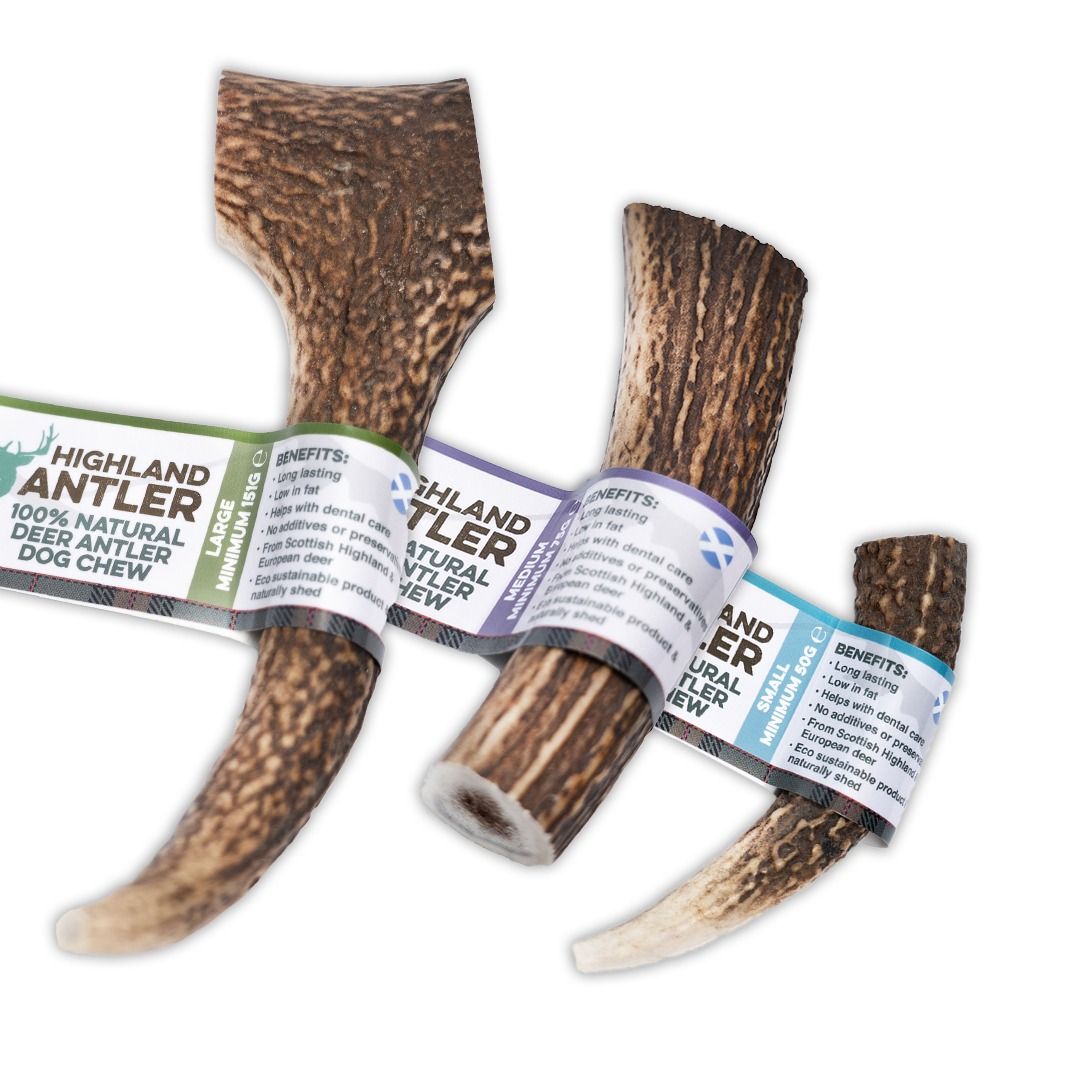 Antler Hjortegevir