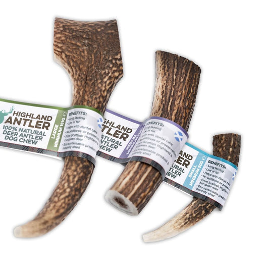 Antler Hjortegevir