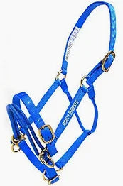 Monty Roberts Dually Schoolig Grime