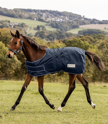 Waldhausen føldækken 100 g  Navy